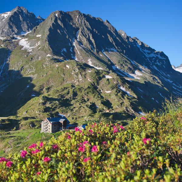 Die Hütte liegt im Bereich der vergletscherten Berge des Alpein