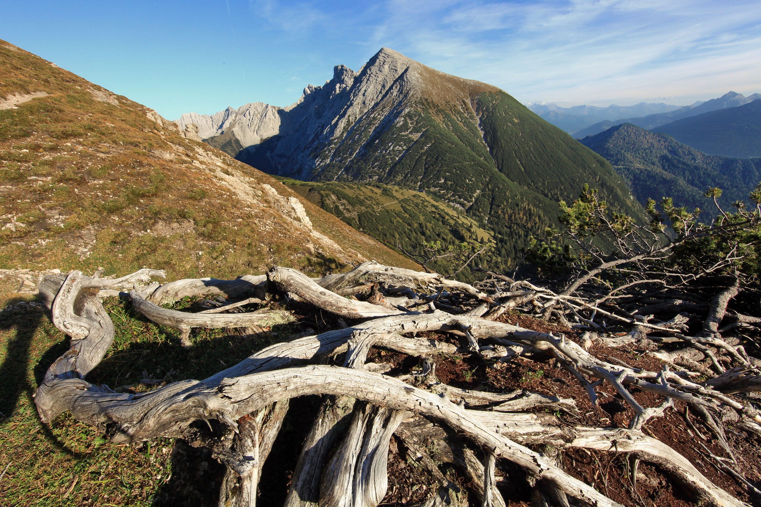 Blick über Wurzeln zum Solsteinhaus