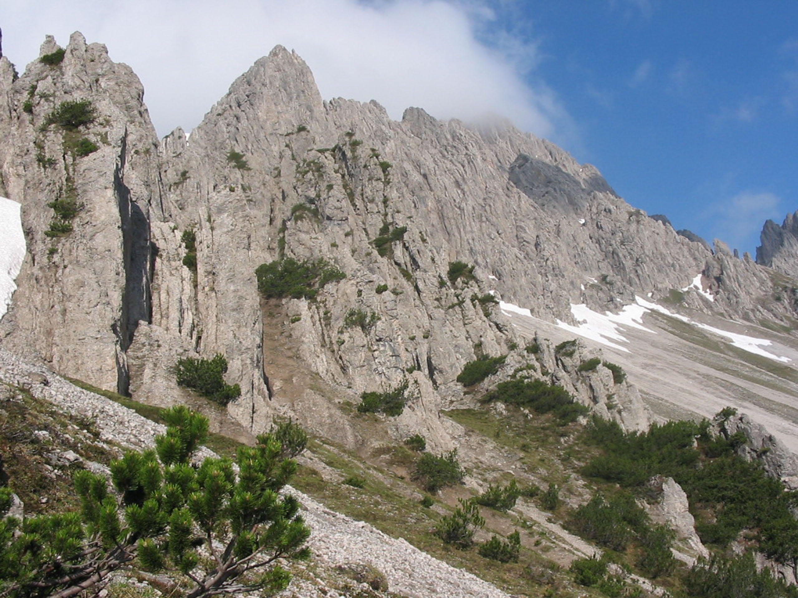 Aussicht während der Freiungen-Runde, Rückseite